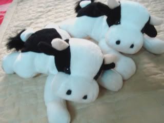 HCM-đg 3 em bò sữa có nhồi bông rất xinh lày- end 23h 11/12/2008