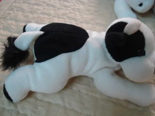 HCM-đg 3 em bò sữa có nhồi bông rất xinh lày- end 23h 11/12/2008 - 1