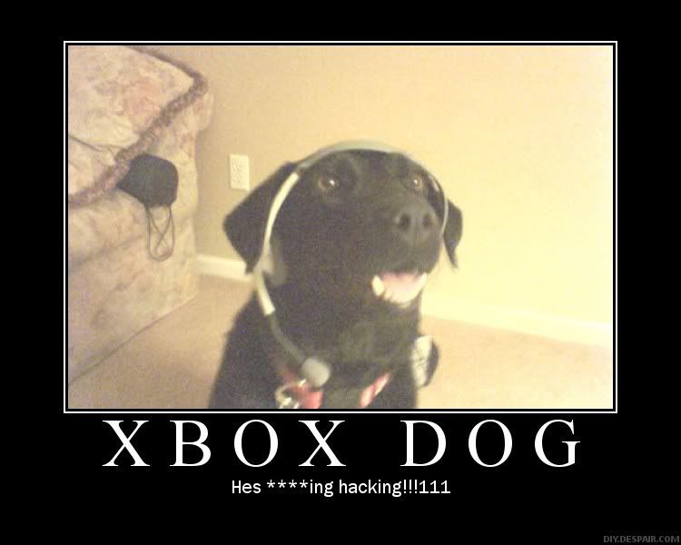 xbox dog