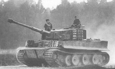 photo tiger1jdkfkdgyt58665_zps2241010c.jpg