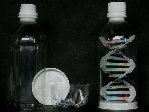 paper dna