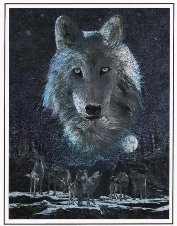 Spirit Wolf Pictures, Images and Photos
