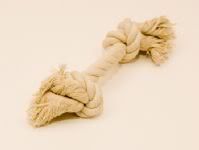 Small dog rope tugger Pictures, Images and Photos