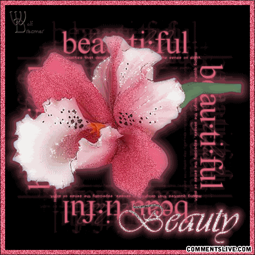 Myspace Graphics