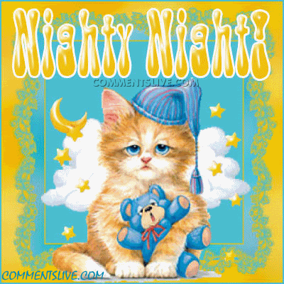 nighty-night-kitty.gif image by tagx