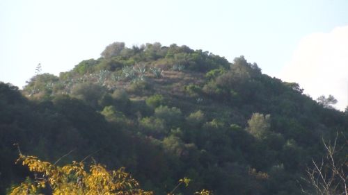 Une colline de Villeneuve-Loubet village. Photo de repérage, pour le tournage du film BRAMSTOCKER: Legal Gang, par Frédéric Vidal. © 2013, Post Scriptum. - See more at: http://s317.photobucket.com/user/frenchcop/media/e3d682b2-76e5-4c0b-82e3-27fbc410d1fb_zpsa49b6537.jpg.html#sthash.whM9YE4X.dpuf