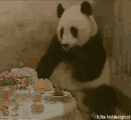 1889-panda-sees-bill-and-freaks-out.gif