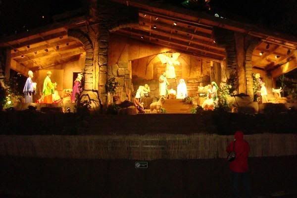 Lighted Creche Pictures, Images and Photos