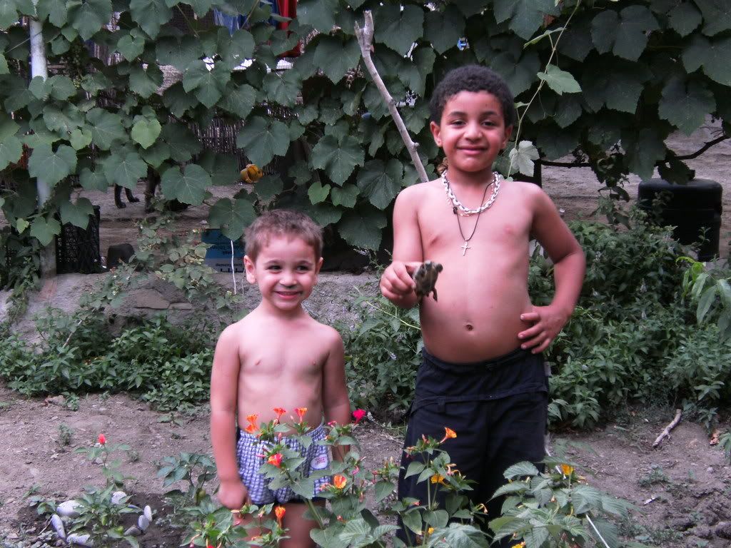 tano and his cousin