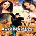 Ghamandee 2009 Hindi Movie Watch Online