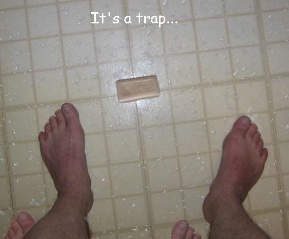 It's a trap! photo: its a trap! n11800337_31512763_7062.jpg
