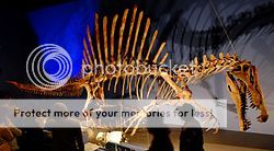  photo Spinosaurus_in_Japan_Expo_zpsvnjxcj3w.jpg