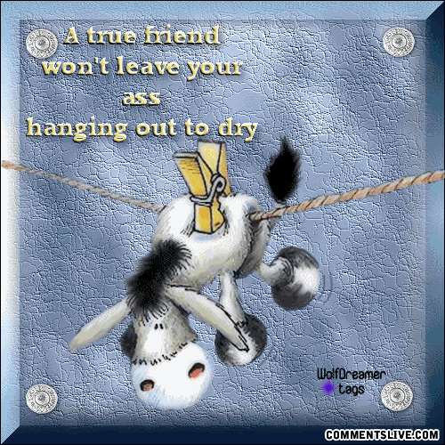 hanging-out-to-dry.gif image by tagx