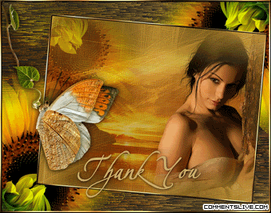 sunflower-thanks.gif